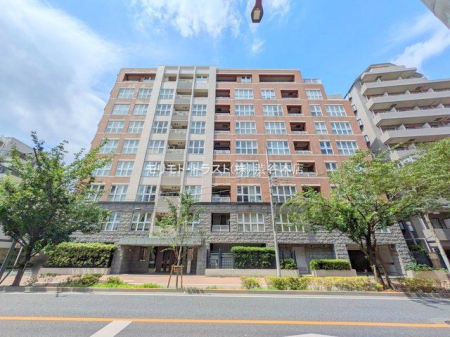 ���n�O�ώʐ^ �B�e��(2025-06-16 00:00:00)