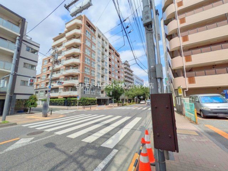 ���n�O�ώʐ^ �B�e��(2025-06-16 00:00:00)