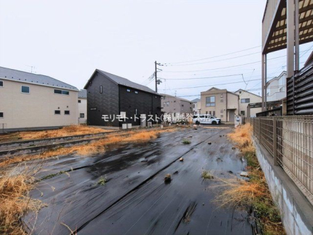 ���n�y�n�ʐ^ �B�e��(2026-03-10 00:00:00)