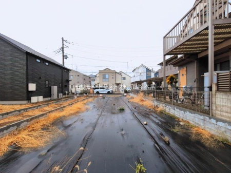 ���n�y�n�ʐ^ �B�e��(2026-03-10 00:00:00)