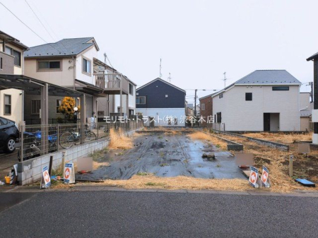 ���n�y�n�ʐ^ �B�e��(2026-03-10 00:00:00)