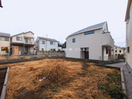 ���n�y�n�ʐ^ �B�e��(2026-03-10 00:00:00)