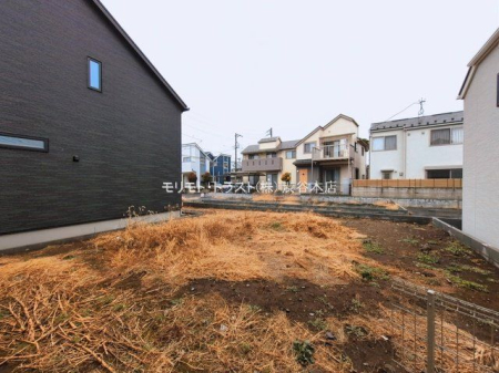 ���n�y�n�ʐ^ �B�e��(2026-03-10 00:00:00)