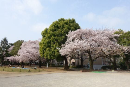 ���ӊ� ���敽�a���� �k��14���B 1080m