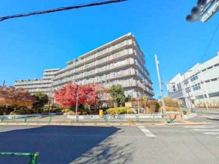 ���n�O�ώʐ^ �B�e��(2024-12-16 00:00:00)