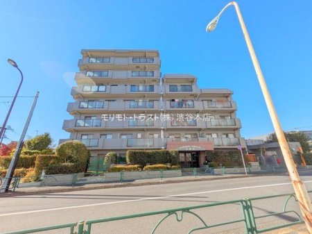 ���n�O�ώʐ^ �B�e��(2024-12-16 00:00:00)