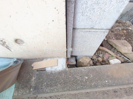 ���n�O�ώʐ^ �B�e��(2026-01-05 00:00:00)