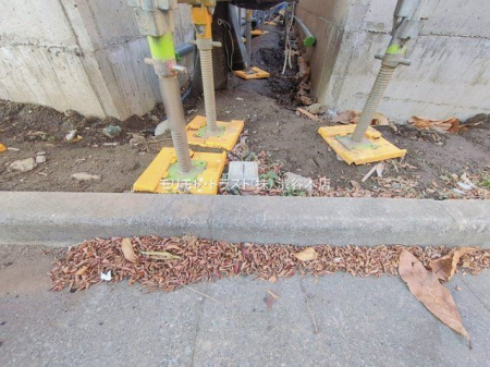 ���n�O�ώʐ^ �B�e��(2026-01-05 00:00:00)