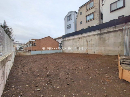 ���n�y�n�ʐ^ �B�e��(2026-02-17)