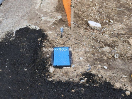 ���n�O�ώʐ^ �B�e��(2026-03-06 00:00:00)