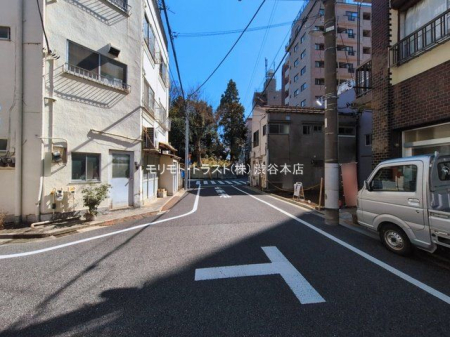 ���n�y�n�ʐ^ �B�e��(2026-03-12)