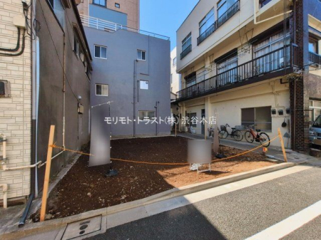 ���n�y�n�ʐ^ �B�e��(2026-03-12 00:00:00)