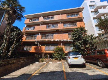 ���n�O�ώʐ^ �B�e��(2026-03-11)