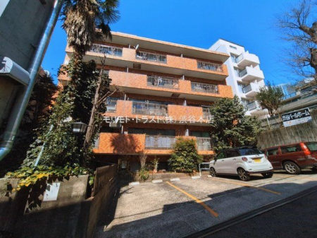 ���n�O�ώʐ^ �B�e��(2026-03-11 00:00:00)