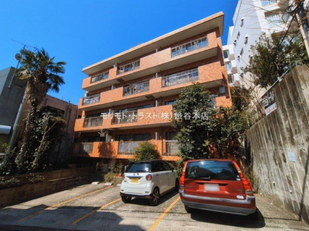 ���n�O�ώʐ^ �B�e��(2026-03-11 00:00:00)