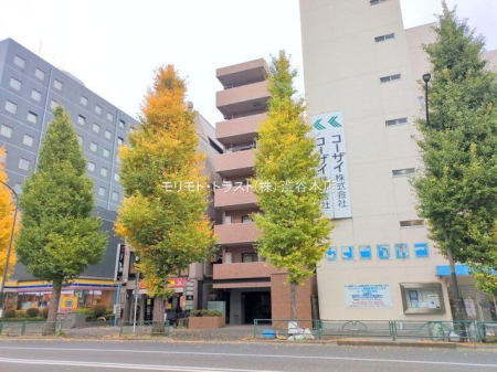 ���n�O�ώʐ^ �B�e��(2025-11-25)