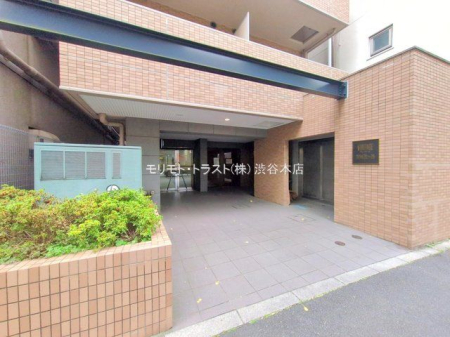 �G���g�����X �B�e��(2025-11-25)