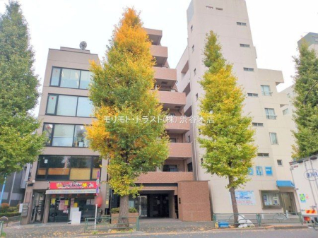 ���n�O�ώʐ^ �B�e��(2025-11-25 00:00:00)