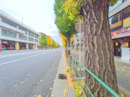 ���n�O�ώʐ^ �B�e��(2025-11-25 00:00:00)