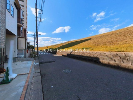 ���n�O�ώʐ^ �B�e��(2026-03-16 00:00:00)