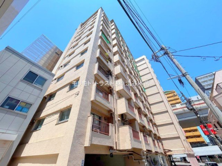 ���n�O�ώʐ^ �B�e��(2024-06-19 00:00:00)