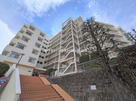 ���n�O�ώʐ^ �B�e��(2026-02-27 00:00:00)