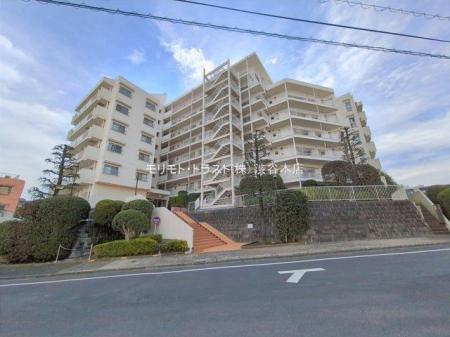 ���n�O�ώʐ^ �B�e��(2026-02-27 00:00:00)