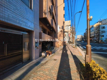 ���n�O�ώʐ^ �B�e��(2026-03-11 00:00:00)