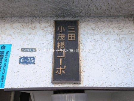 �G���g�����X �B�e��(2026-03-12 00:00:00)