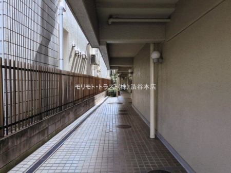 ���n�O�ώʐ^ �B�e��(2026-03-18 00:00:00)