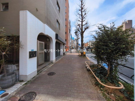 ���n�O�ώʐ^ �B�e��(2026-03-18 00:00:00)