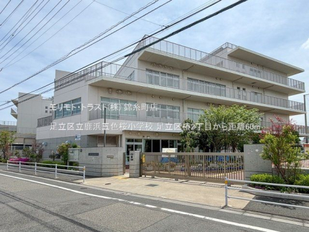 ���ӊ� �����旧���l�ܐF�����w�Z �B�e��(2024-04-26) 60m