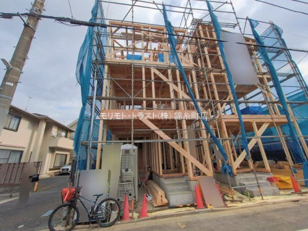 ���n�O�ώʐ^ �B�e��(2026-02-16 00:00:00)