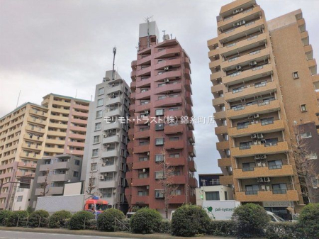 ���n�O�ώʐ^ �B�e��(2026-01-21)