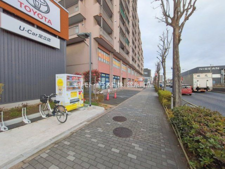 ���n�O�ώʐ^ �B�e��(2026-01-21 00:00:00)