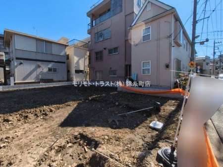 ���n�y�n�ʐ^ �B�e��(2026-03-12 00:00:00)