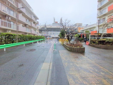 ���n�O�ώʐ^ �B�e��(2025-03-05 00:00:00)