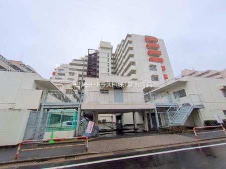 ���n�O�ώʐ^ �B�e��(2025-03-05 00:00:00)