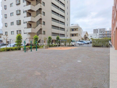 ���n�O�ώʐ^ �B�e��(2025-09-12 00:00:00)