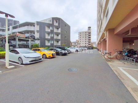 ���n�O�ώʐ^ �B�e��(2025-09-12 00:00:00)