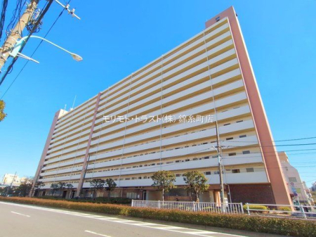 ���n�O�ώʐ^ �B�e��(2025-02-10 00:00:00)