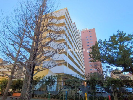 ���n�O�ώʐ^ �B�e��(2025-02-10 00:00:00)