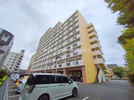 ���n�O�ώʐ^ �B�e��(2025-09-12)