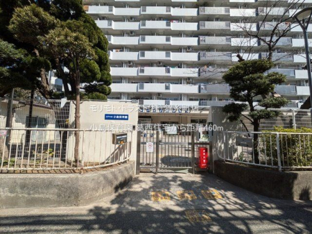 ���ӊ� �����ۈ牀 �B�e��(2025-03-10) 460m