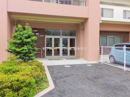 ���n�O�ώʐ^ �B�e��(2025-09-12 00:00:00)