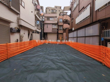 ���n�y�n�ʐ^ �B�e��(2026-03-17)