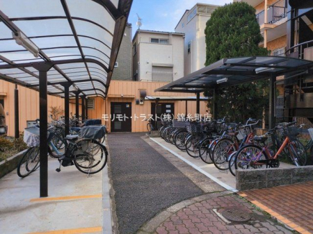 ���n�O�ώʐ^ �B�e��(2026-03-12 00:00:00)