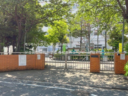 ���ӊ� �����旧�������w�Z �B�e��(2023-05-11) 710m