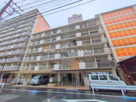 ���n�O�ώʐ^ �B�e��(2025-12-24 00:00:00)