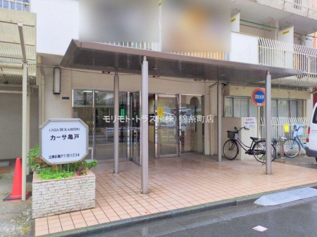 �G���g�����X �B�e��(2025-12-24 00:00:00)